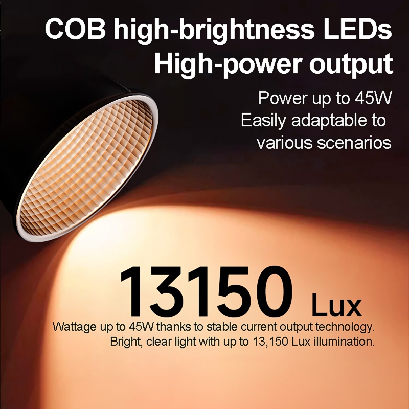 Luce Video RGB 60W Portatile L - Photography Lighting Handheld recensione e prezzo